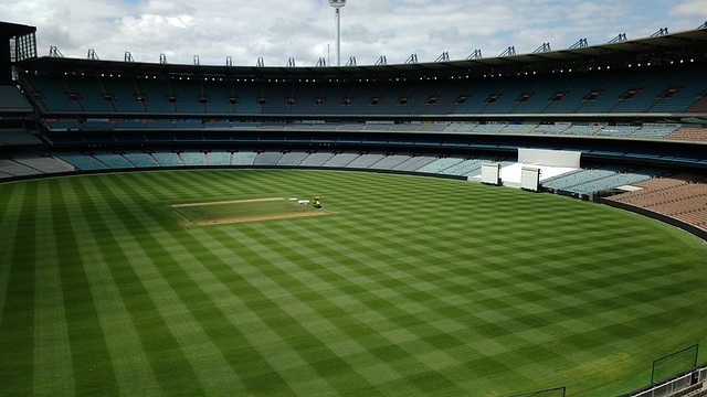 的作用及实 的作用及实