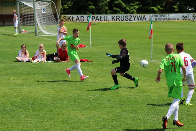 因其非凡的 因其非凡的