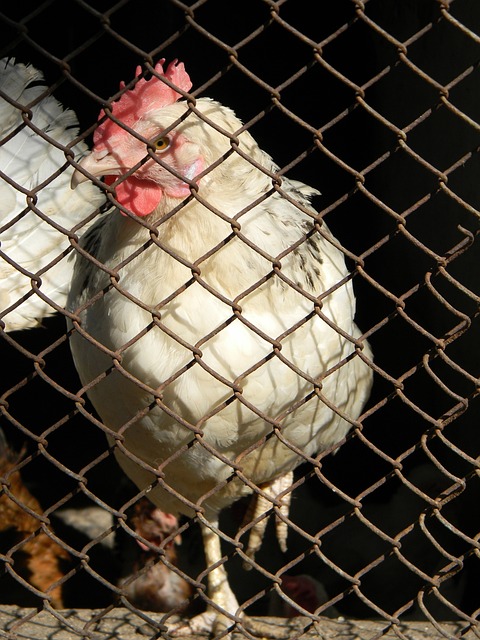 开球时间与 开球时间与