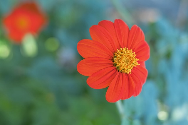 孙兴慜在选 孙兴慜在选