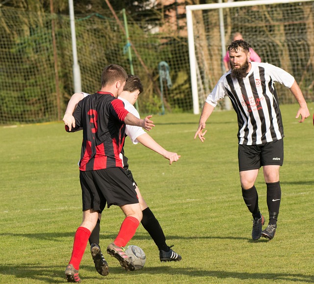 的历史可以 的历史可以