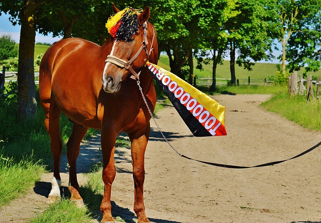 荔湾区依托 荔湾区依托