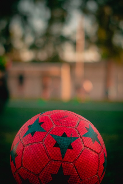 球迷见证了 球迷见证了