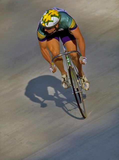 系桑托斯战 系桑托斯战