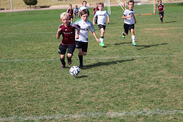 最大化发挥 最大化发挥