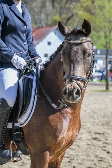 合选择穿着 合选择穿着